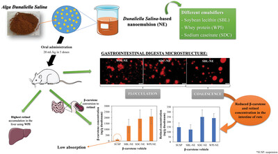 Effect of the Emulsifier Used in Dunaliella salina-Based Nanoemulsions Formulation on the β-Carotene Absorption and Metabolism in Rats