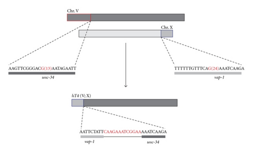 Details are in the caption following the image Details are in the caption following the image