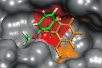 From Model Complexes to Metalloprotein Inhibition: A Synergistic Approach to Structure-Based Drug Discovery