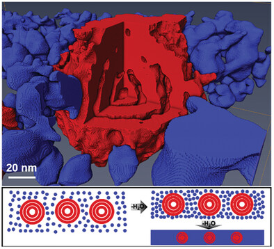 Heterogeneity During the Formation of Waterborne Barrier Coating Revealed by Cryogenic Transmission Electron Microscopy