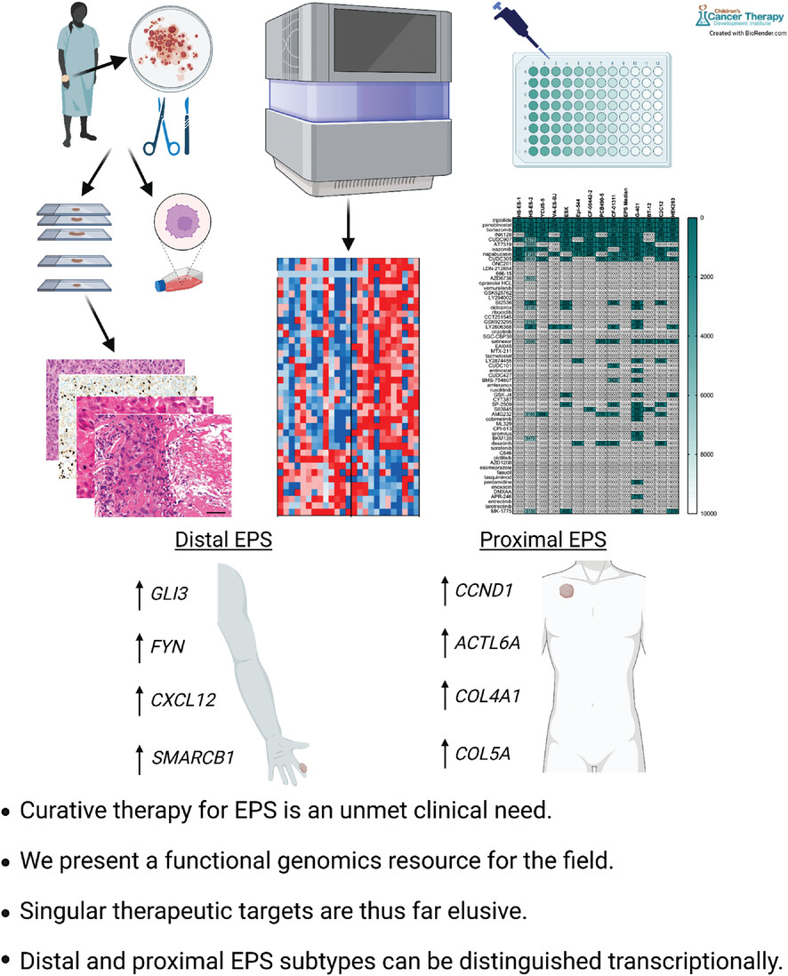 Functional genomic analysis of epithelioid sarcoma reveals distinct proximal and distal subtype biology