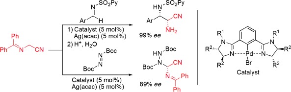 Catalytic Enantioselective Reaction of α-Aminoacetonitriles Using Chiral Bis(imidazoline) Palladium Catalysts
