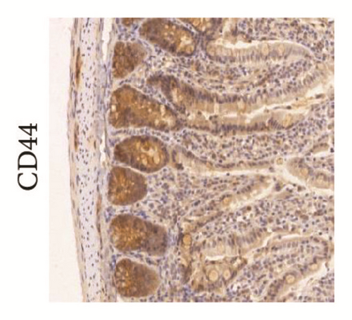 Details are in the caption following the image Details are in the caption following the image