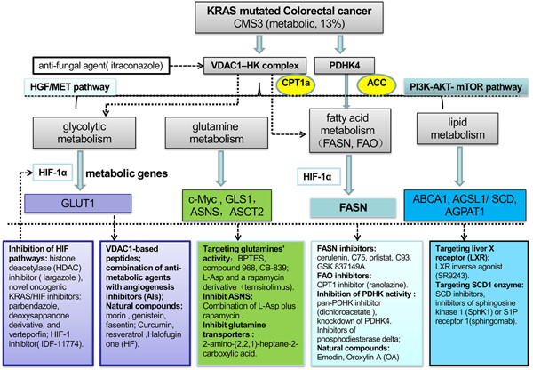 Strategies to target energy metabolism in consensus molecular subtype 3 along with Kirsten rat sarcoma viral oncogene homolog mutations for colorectal cancer therapy