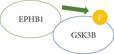 Details are in the caption following the image