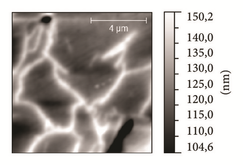Details are in the caption following the image