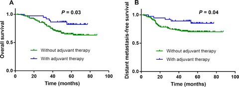 Dynamic changes in plasma Epstein–Barr virus DNA load during treatment have prognostic value in nasopharyngeal carcinoma: a retrospective study