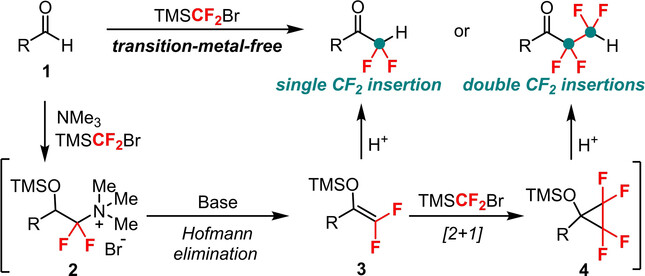 Transition-Metal-Free Controllable Single and Double Difluoromethylene Formal Insertions into C−H Bonds of Aldehydes with TMSCF2Br