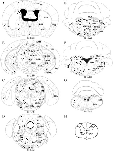 Details are in the caption following the image Details are in the caption following the image