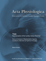 Thesis: Repolarization of the Cardiac Action Potential cover image