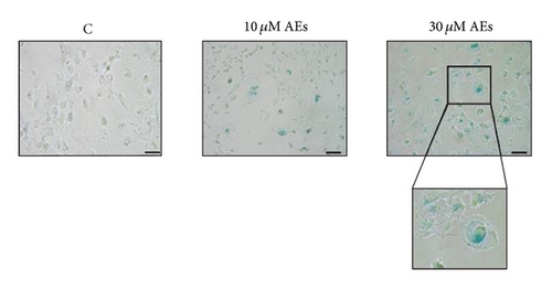 Details are in the caption following the image