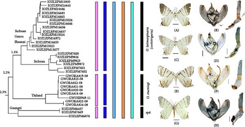 Details are in the caption following the image