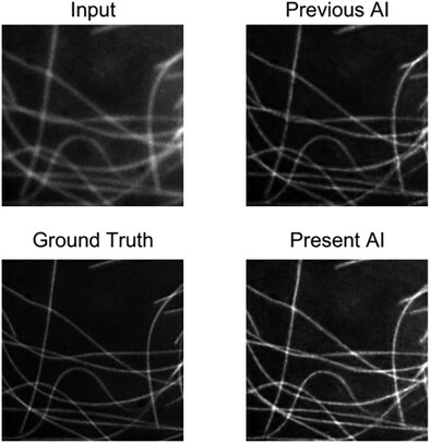 Regularized Gradient Statistics Improve Generative Deep Learning Models of Super Resolution Microscopy