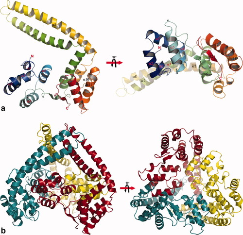 Details are in the caption following the image Details are in the caption following the image