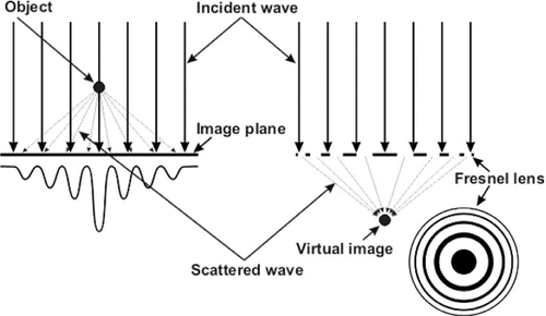 Details are in the caption following the image Details are in the caption following the image