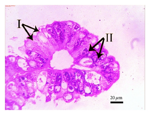 Details are in the caption following the image