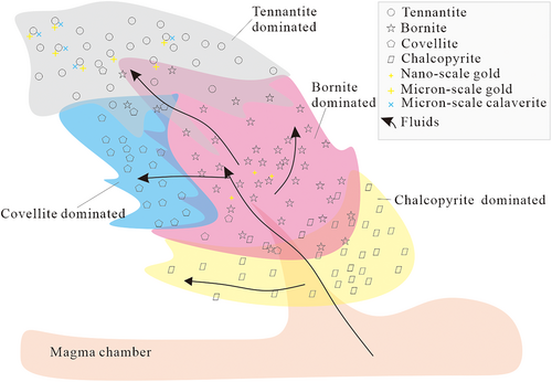 Details are in the caption following the image Details are in the caption following the image