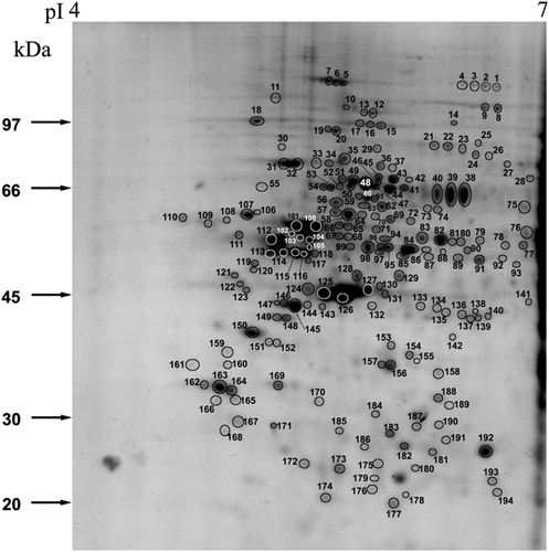 Details are in the caption following the image