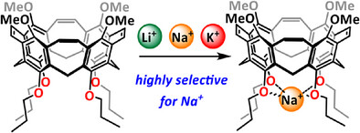 Functionalized Calix[4]Nanocones