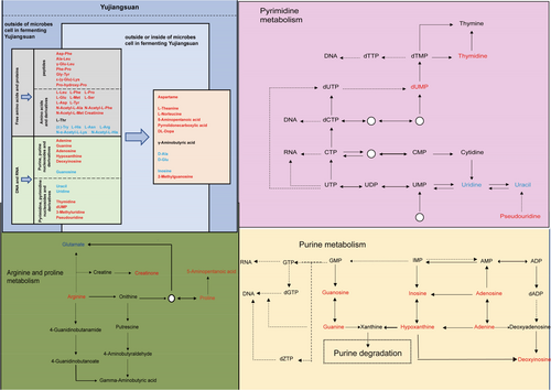 Details are in the caption following the image Details are in the caption following the image
