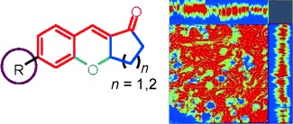 A Unique Family of Rigid Analogues of the GFP Chromophore with Tunable Two-Photon Action Cross-Sections for Biological Imaging