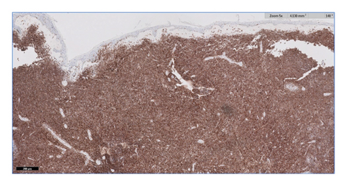 Details are in the caption following the image Details are in the caption following the image