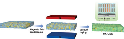Composite Solid-State Electrolyte with Vertical Ion Transport Channels for All-Solid-State Lithium Metal Batteries