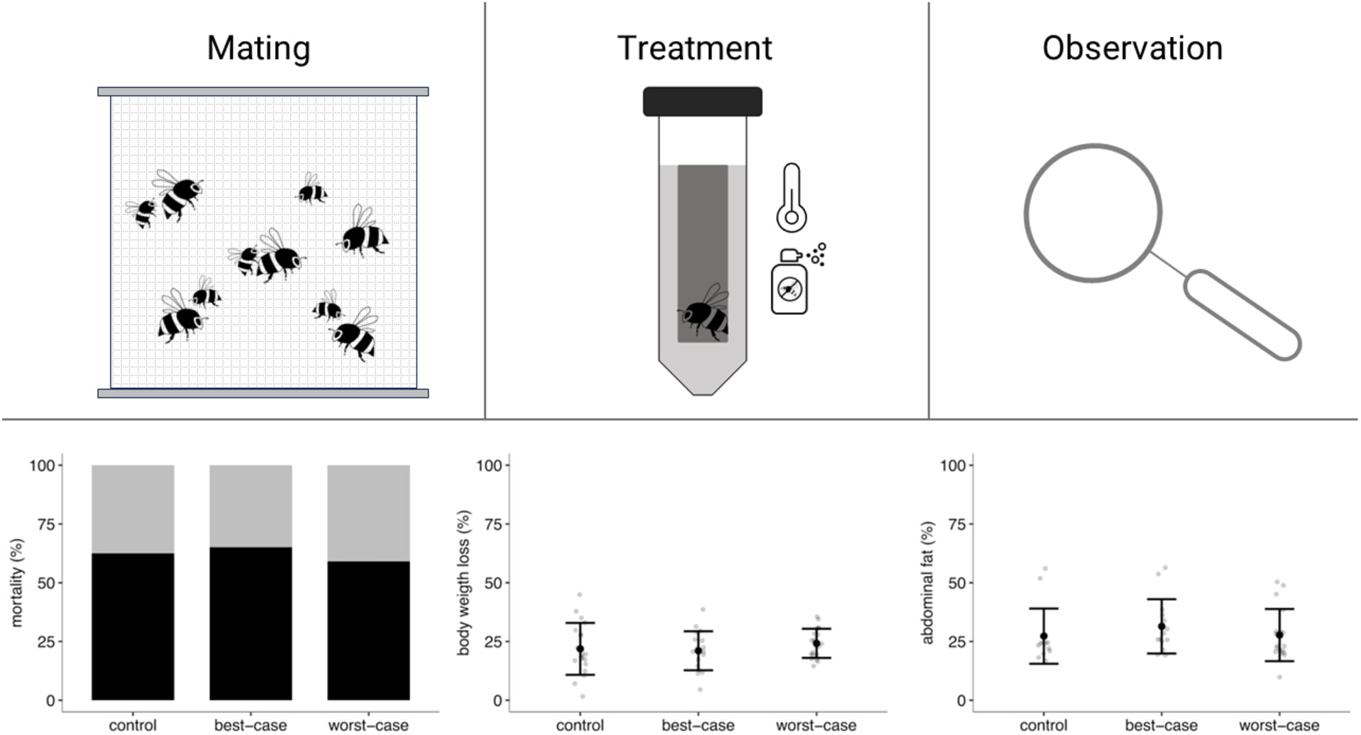 No impact of cyantraniliprole on the hibernation success of bumble bees (Bombus terrestris audax) in a soil-mediated laboratory exposure study