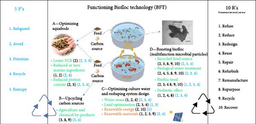 Details are in the caption following the image