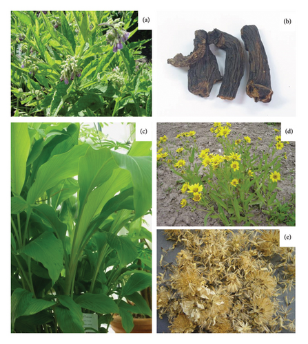 Details are in the caption following the image Details are in the caption following the image