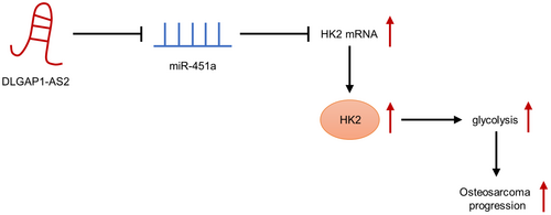 Details are in the caption following the image