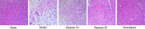 Details are in the caption following the image Details are in the caption following the image