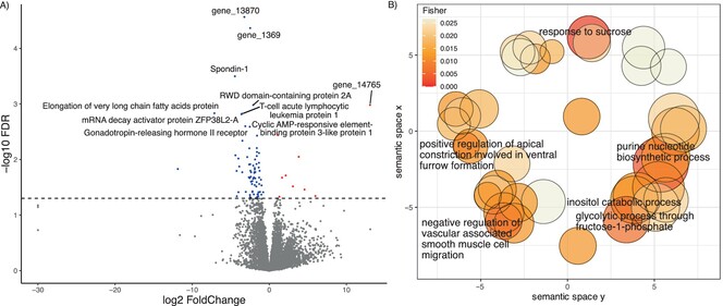 Transcriptomic Signature of Spatial Navigation in Brains of Desert Ants