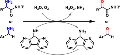 A Bioinspired Diazafluorenone Catalytic System for Aerobic Oxidative Deamination of Primary Amines