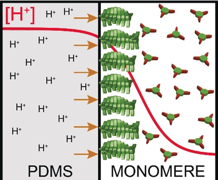 Surface-Assisted Self-Assembly of a Hydrogel by Proton Diffusion