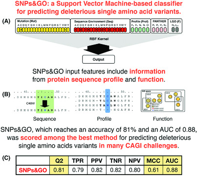 Blind prediction of deleterious amino acid variations with SNPs&GO