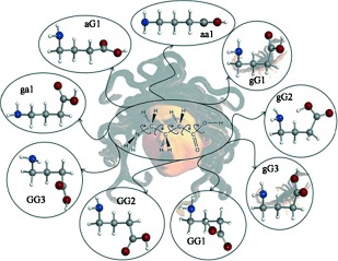 Conformations of γ-Aminobutyric Acid (GABA): The Role of the n→π* Interaction