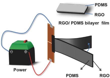 Electrothermal Actuator on Graphene Bilayer Film