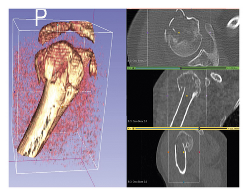 Details are in the caption following the image Details are in the caption following the image