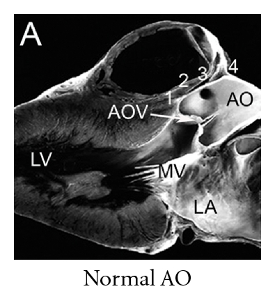 Details are in the caption following the image