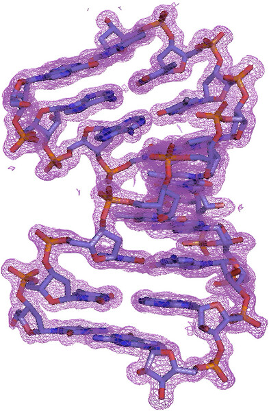 The first report of structural analysis of a nucleic acid using crystals grown in space