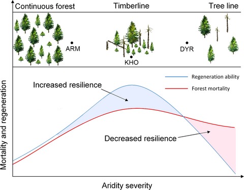 Long-term forest resilience to climate change indicated by mortality, regeneration, and growth in semiarid southern Siberia