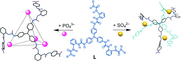 Tetrahedral Anion Cage: Self-Assembly of a (PO4)4L4 Complex from a Tris(bisurea) Ligand