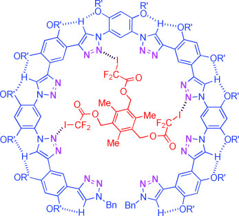 C<span class='icomoon'></span>H⋅⋅⋅O Hydrogen Bonding Induced Triazole Foldamers: Efficient Halogen Bonding Receptors for Organohalogens