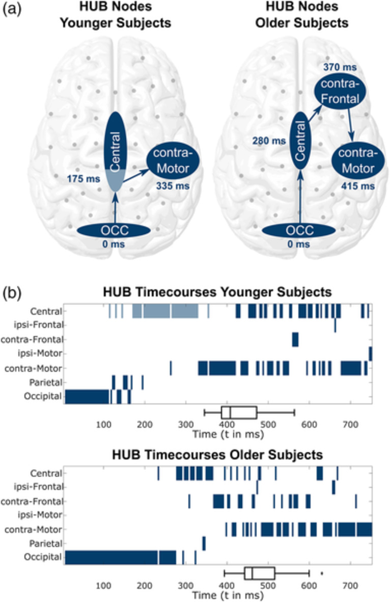Stimulus transformation into motor action: Dynamic graph analysis reveals a posterior-to-anterior shift in brain network communication of older subjects