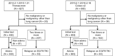 Clinical influence of switching companion diagnostic tests for EGFR-TKs from Therascreen to Cobas v2