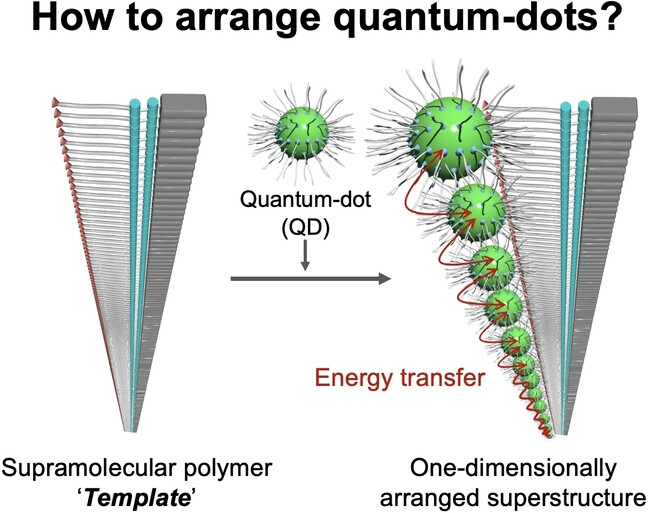One-Dimensionally Arranged Quantum-Dot Superstructures Guided by a Supramolecular Polymer Template