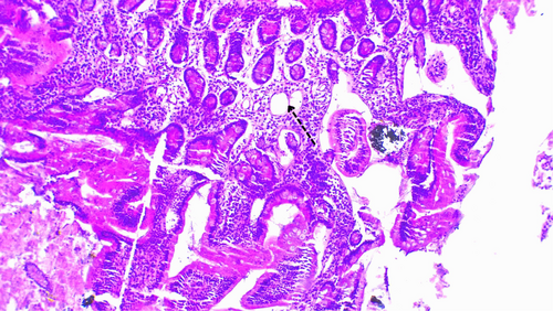 Details are in the caption following the image Details are in the caption following the image