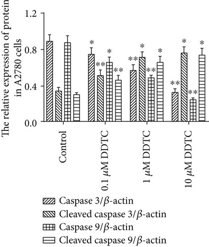 Details are in the caption following the image
