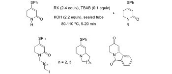A Rapid, Solvent-Free Phase-Transfer Catalysis Procedure for N-Alkylation of Dihydropyridones and Construction of the Indolizidine, Quinolizidine and Pyridoazepine Structures